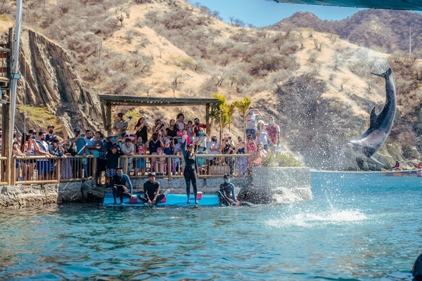 tour playa blanca y acuario