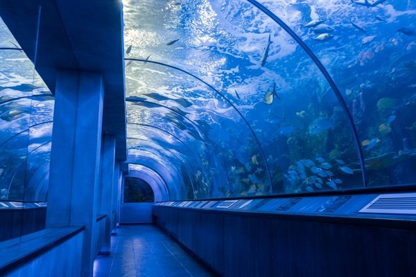 tour playa blanca y acuario