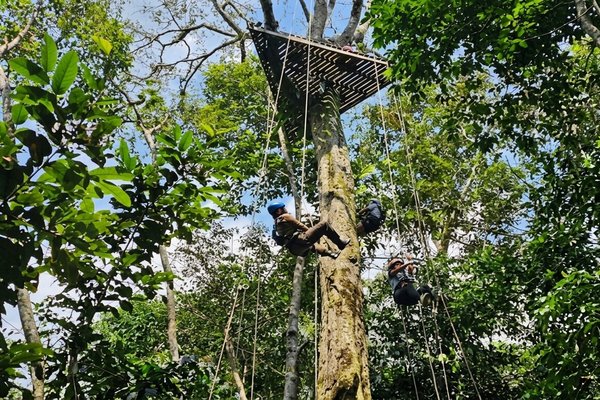 canopy, sendero ecólogico