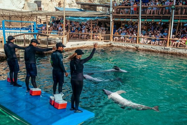 tour playa blanca y acuario