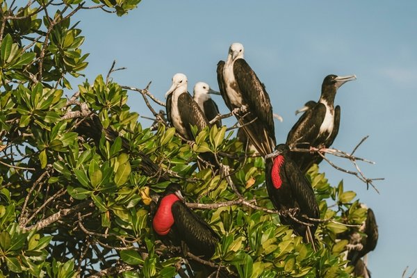 vista 360°, avistamiento de aves y atardecer