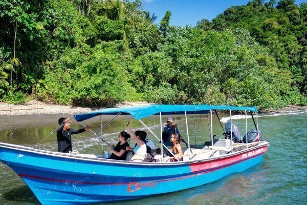 Tour al norte;  Avistamiento de ballenas + Ensenada Utría + Playa Blanca 