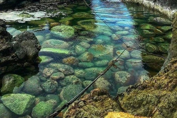 Caminata ecólogica La Coquerita