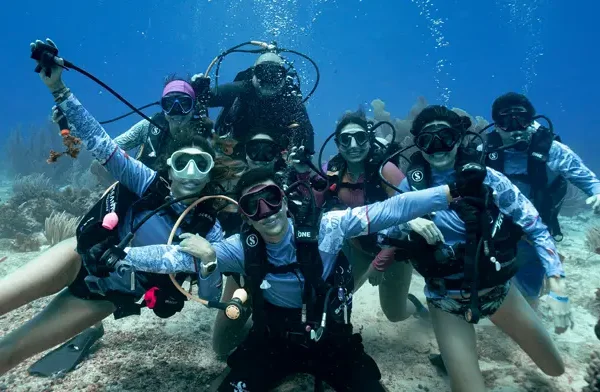 minicurso buceo, 1 inmersión