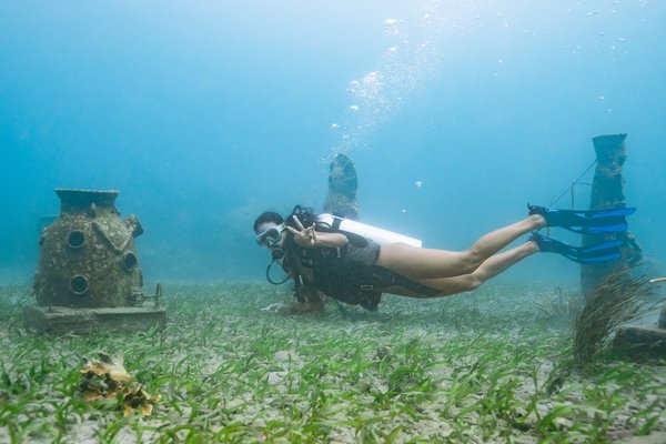 buceo bushnell