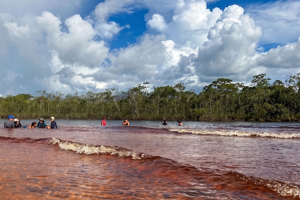 Ruta de Aguas Rojas y Cultura: Caño San Joaquín y Comunidad Venado