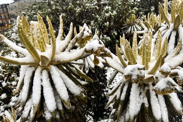 Expedición Alta Montaña: Donde los Glaciares Comienzan (5 Días / 4 Noches)