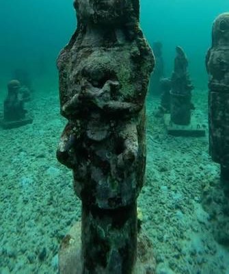 tour snorkeling