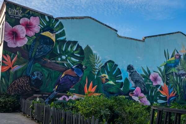 City Tour Cali: Sabor Urbano en la Sucursal del Cielo