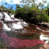 Tour Cano Cristales, experiencia completa