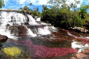 Tour Cano Cristales, experiencia completa