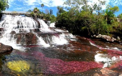 Tour Cano Cristales, experiencia completa
