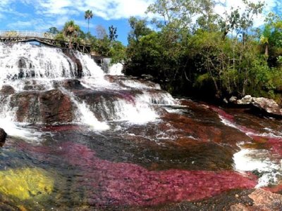 Tour Cano Cristales, experiencia completa