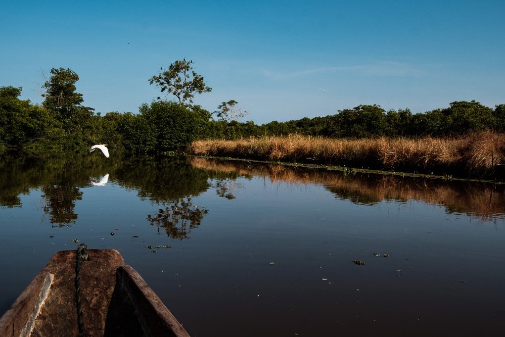 actividad caño balsa