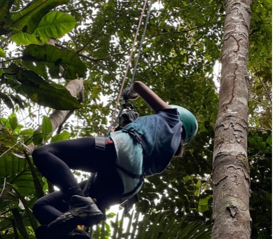 canopy, sendero ecólogico