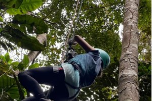 canopy, sendero ecólogico