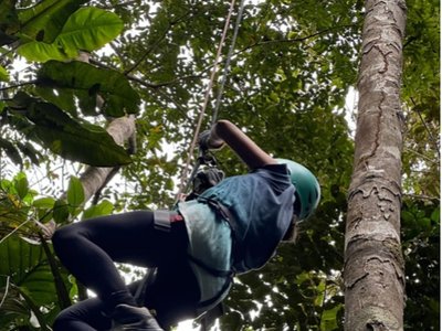 canopy, sendero ecólogico