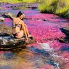 Tour Cano Cristales, experiencia completa
