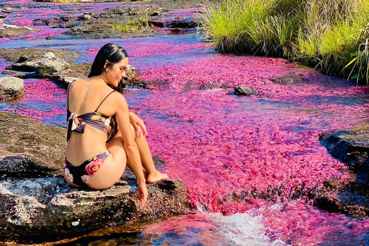 Tour Cano Cristales, experiencia completa