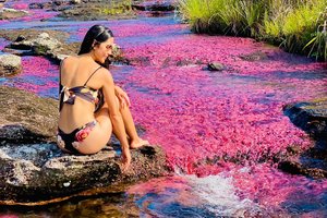 Tour Cano Cristales, experiencia completa
