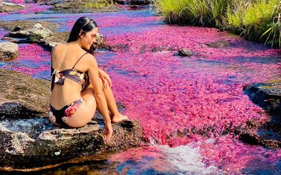 Tour Cano Cristales, experiencia completa