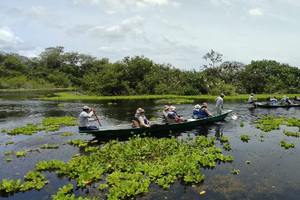 Tour de la Garza Agami
