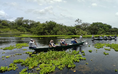 Tour de la Garza Agami