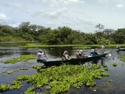 Tour de la Garza Agami