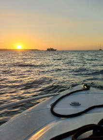 Tour Bahía en Bote Deportivo
