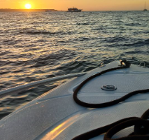 Tour Bahía en Bote Deportivo