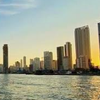 Atardecer Sunset Flamante