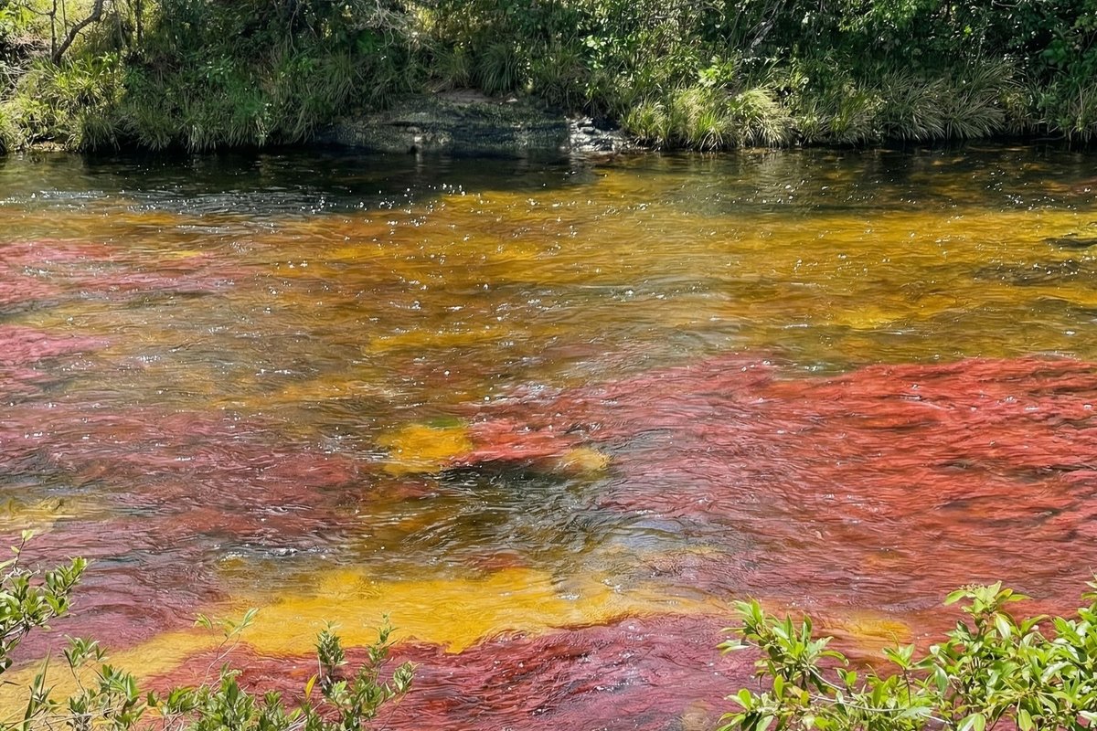 Ruta Islandia: Río de Colores