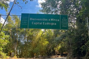 fullday minca