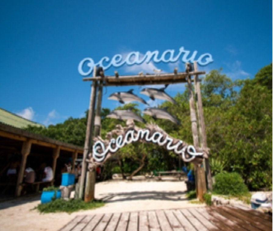 tour panoramico islas del rosario + playa tranquila