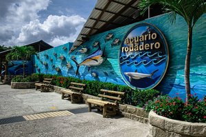 tour playa blanca y acuario