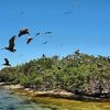 Tour Isla de los pajaros + Plancton