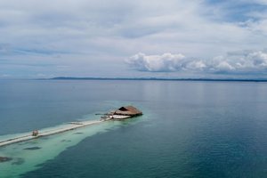 Tour Isla Palma y Bioparque