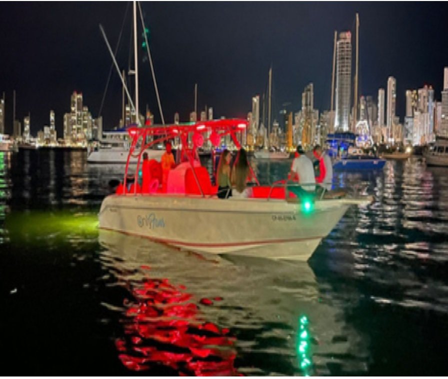 tour bahía en bote deportivo