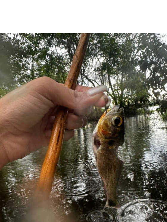 zacambú, ruta del río