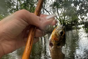 zacambú, ruta del río