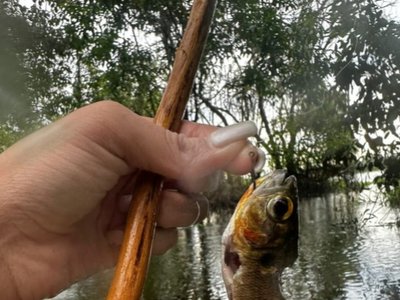 zacambú, ruta del río