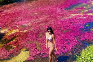 Tour Cano Cristales, experiencia completa