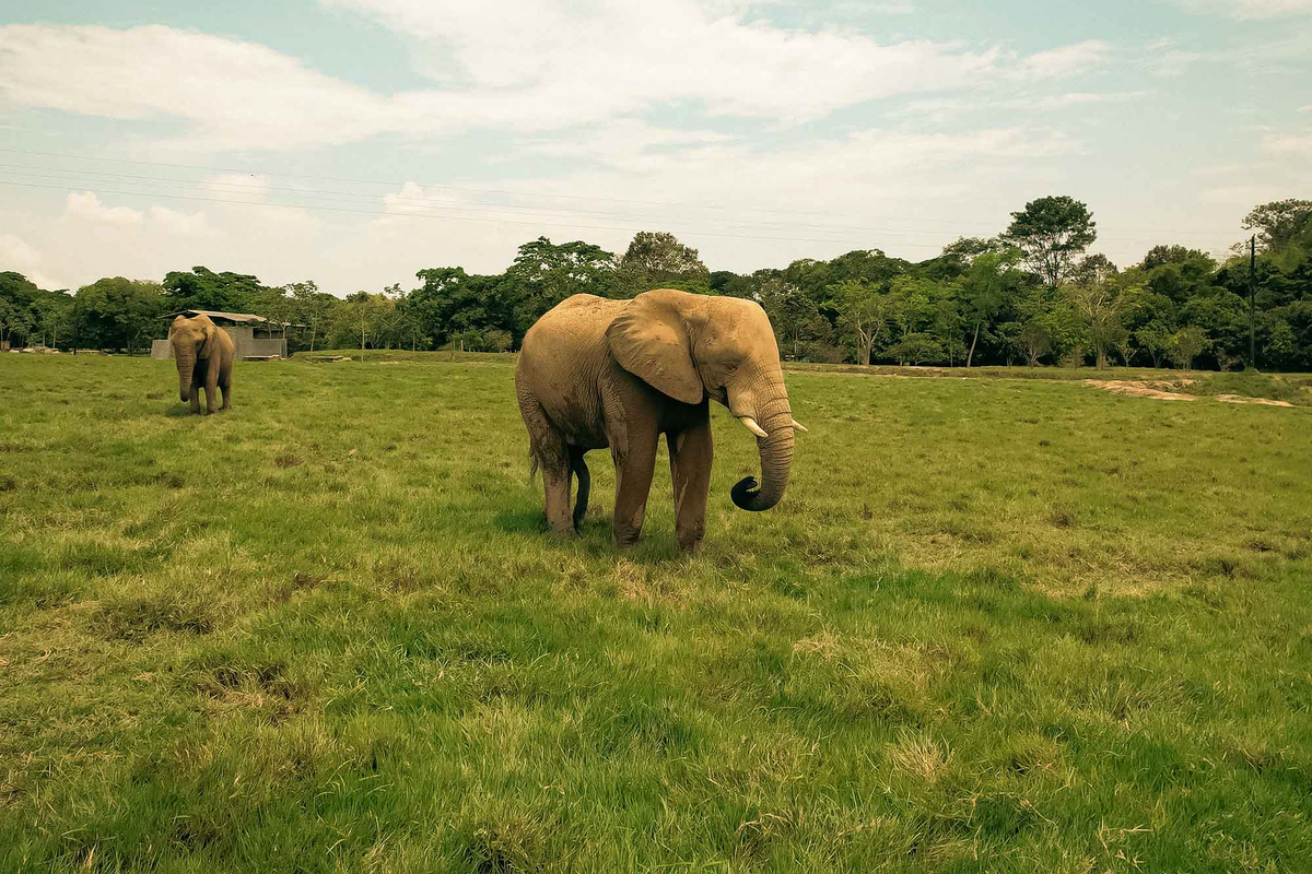 Tour Hacienda Nápoles pasaporte Aventura