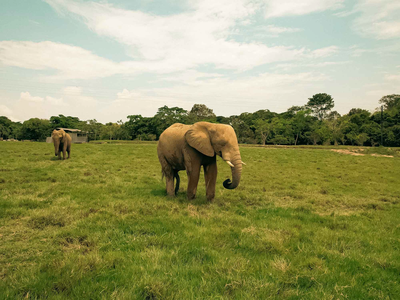 Tour Hacienda Nápoles pasaporte Aventura