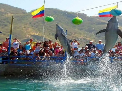 tour playa blanca y acuario