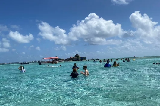 acuario mágico