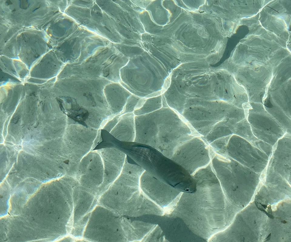 tour acuario