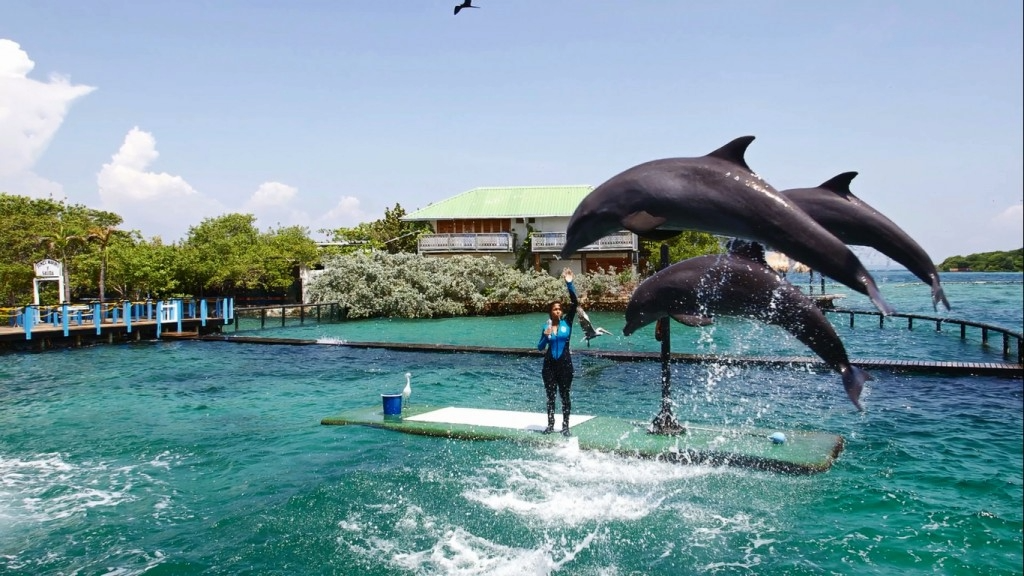 ロサリオ諸島パノラマツアー
