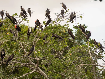 vista 360°, avistamiento de aves y atardecer