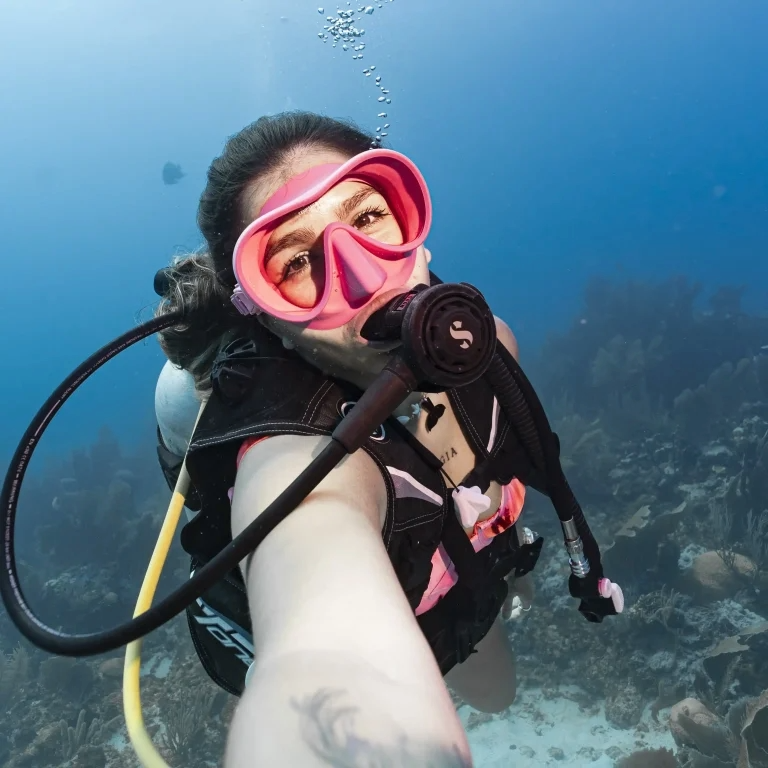 buceo bushnell